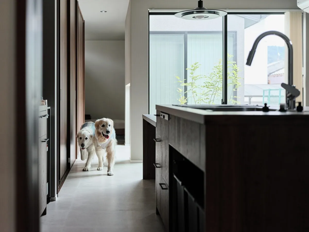 陰影を愉しむ暮らし